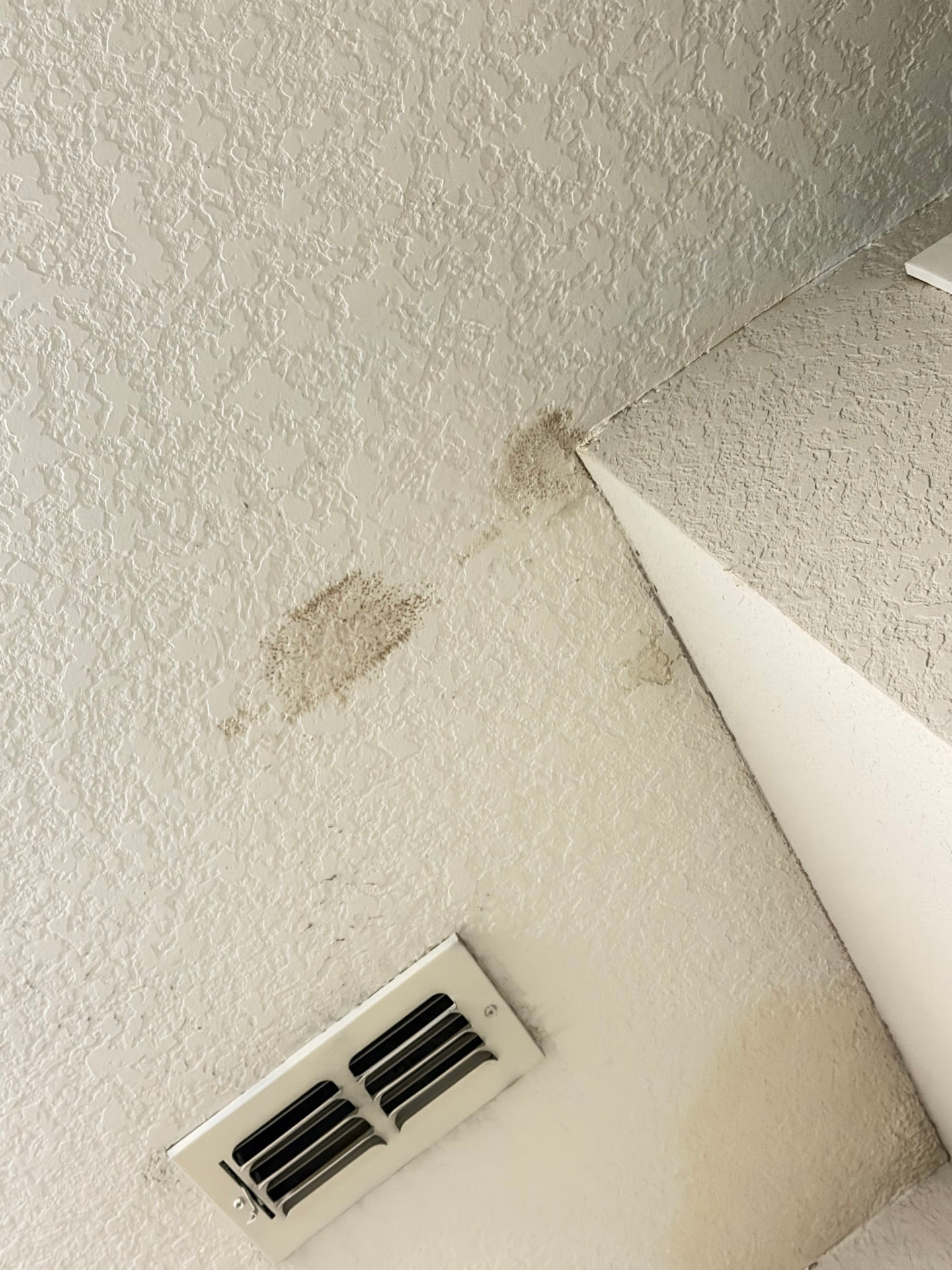 Ceiling and wall corner with brown water stains, before repainting
