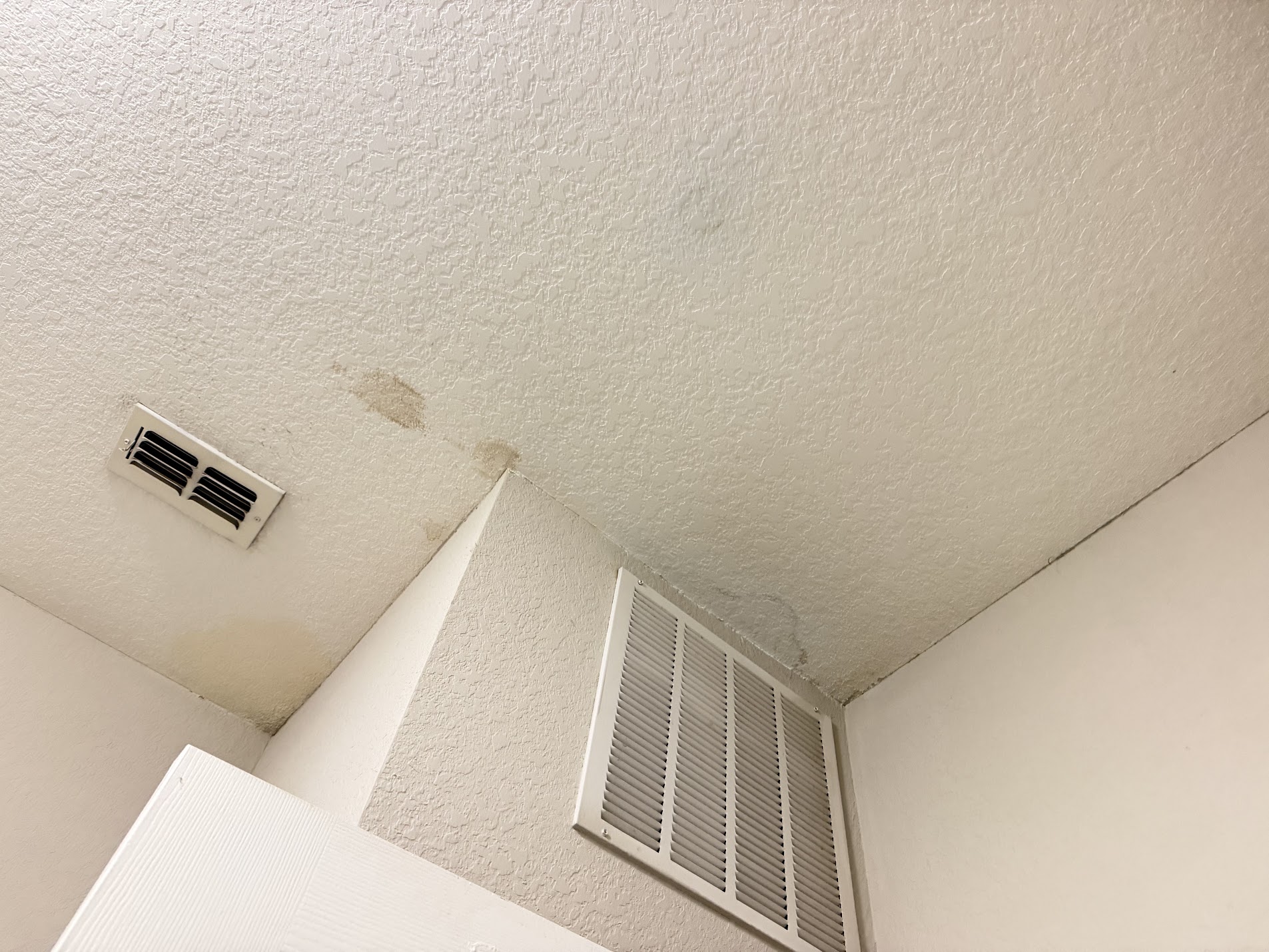 Textured white ceiling with brown water stains around a vent, before repainting